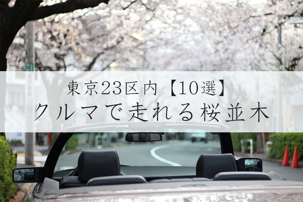 東京23区内の車で走れる桜並木10選