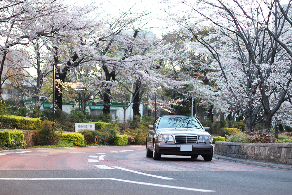 東京ミッドタウンの桜並木