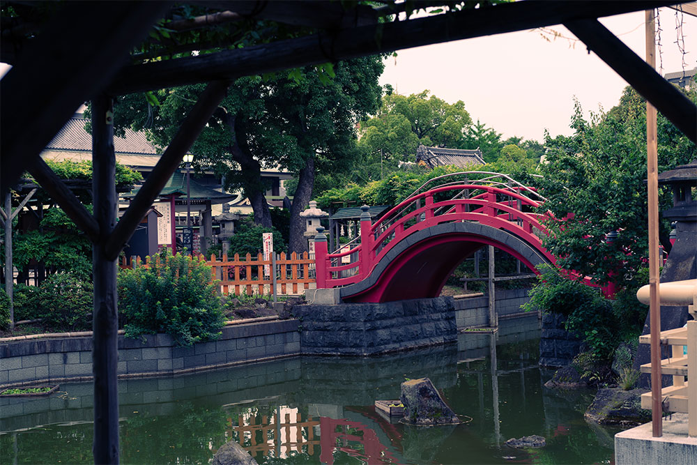 太鼓橋・女橋と多数の亀が生息する池